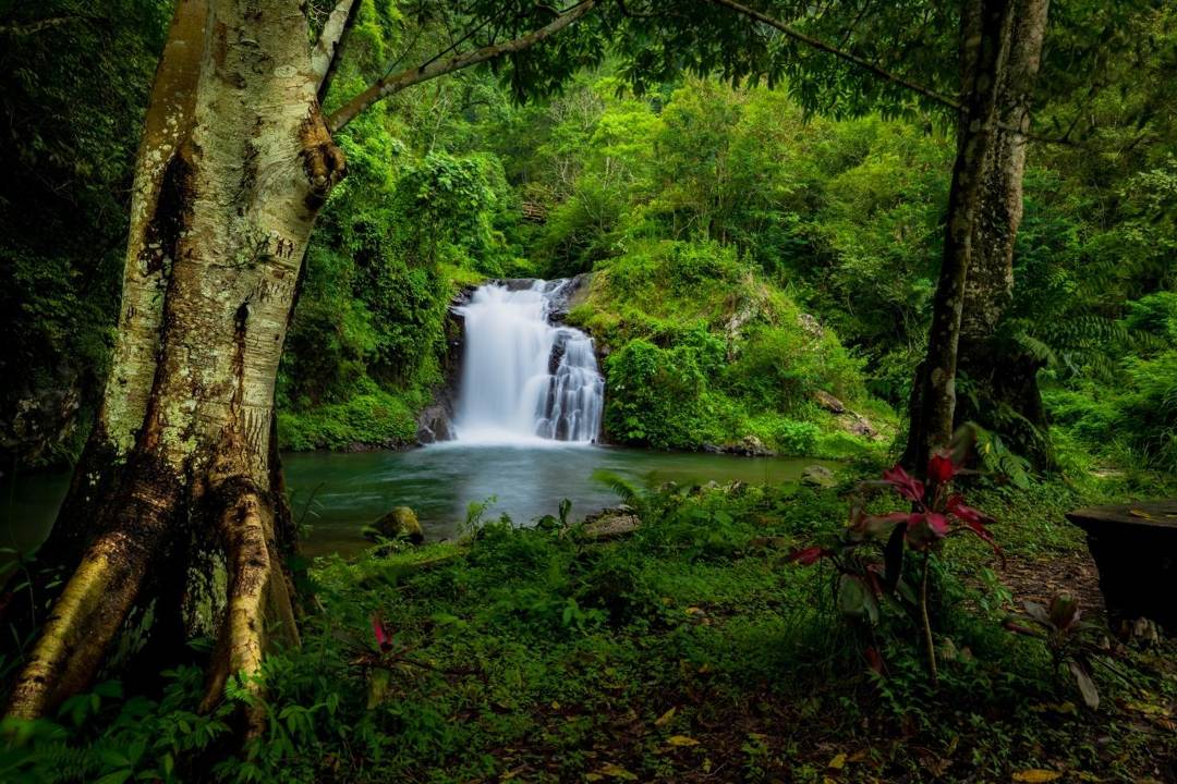 Rimbafarm obyek wisata yang cocok untuk keluarga